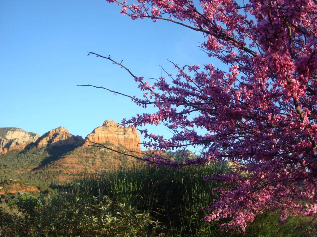 Sedona in Arizona