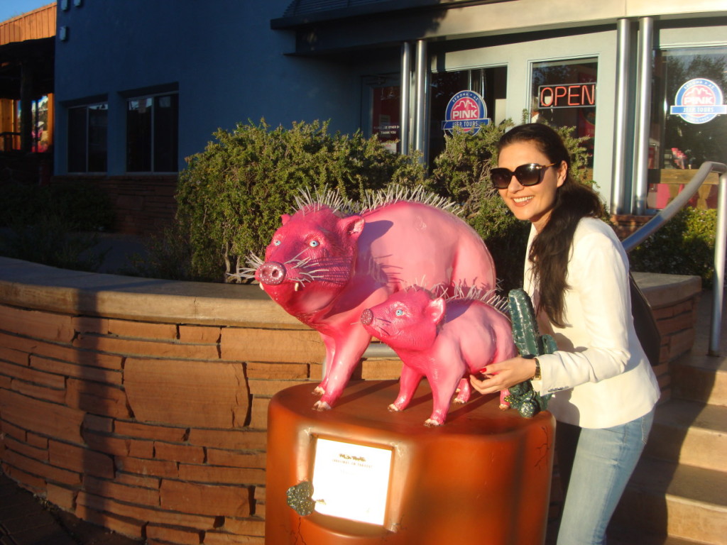  A statue of Javalina, the collared peccary which can be found in Arizona