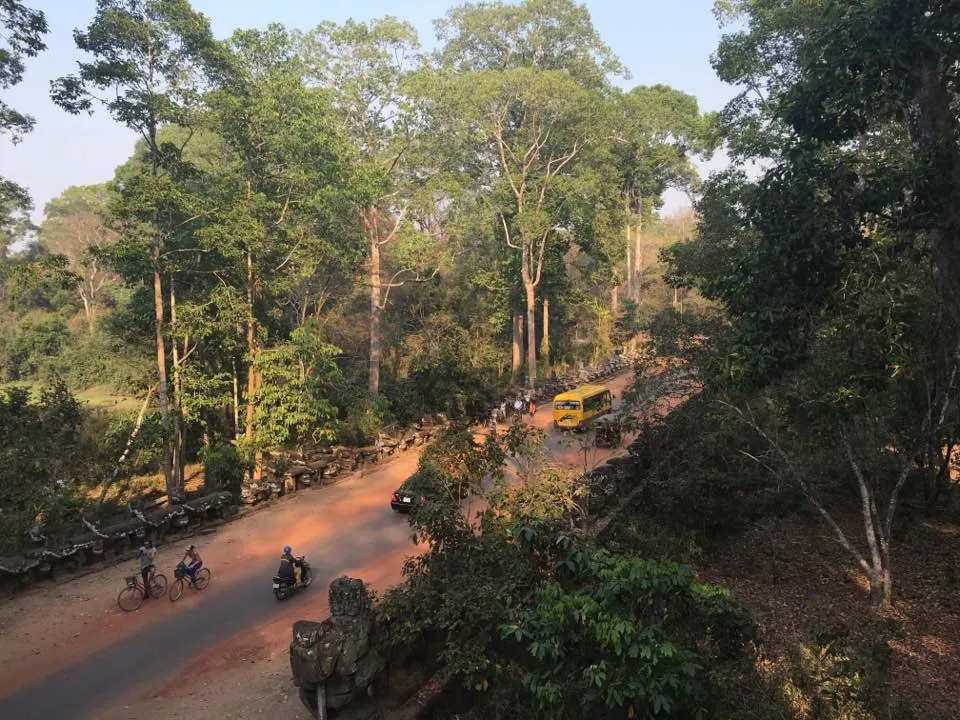 Jungle of Angkor Thom Angkor Thom