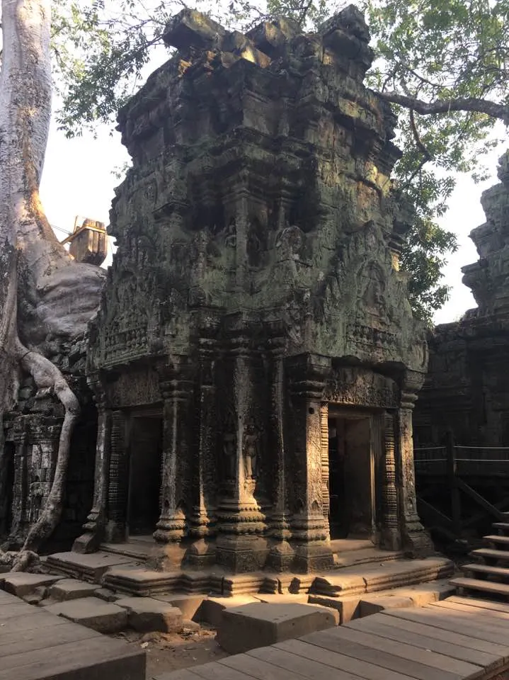 Ta Prohm, Angkor, Cambodia Ta Prohm