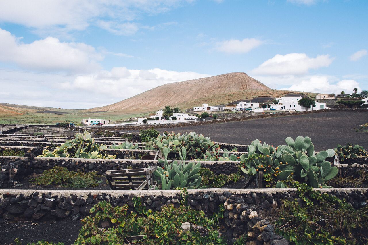 lanzarote-landscape