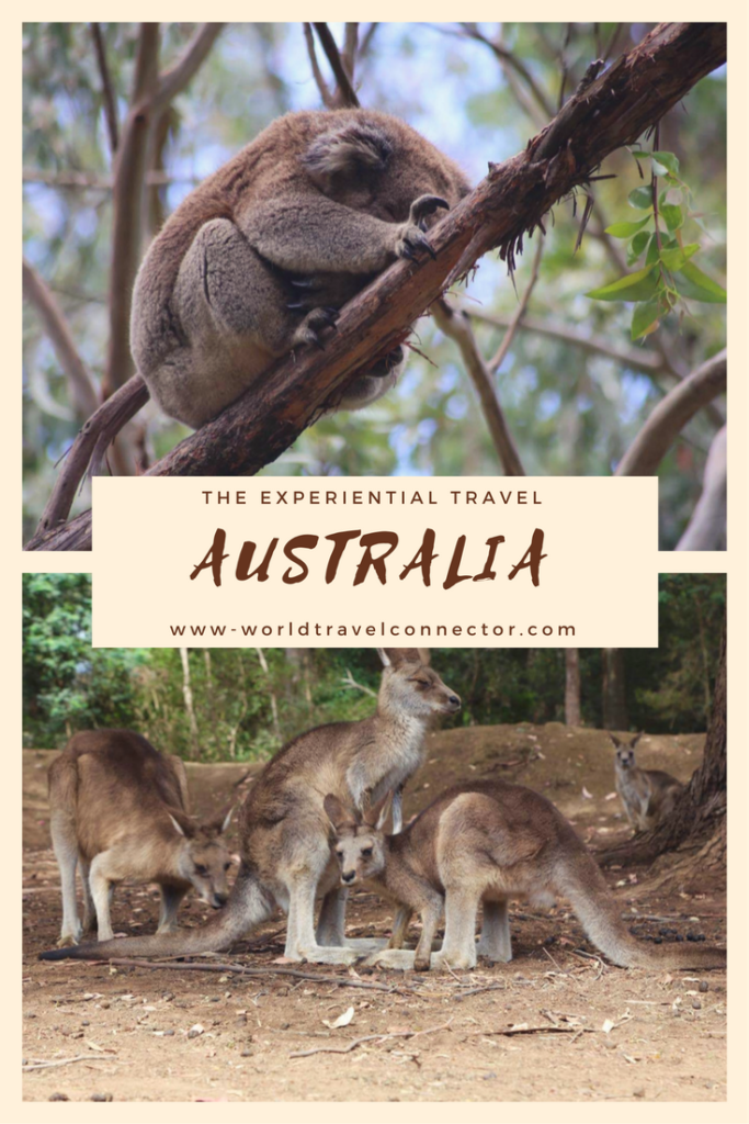 authentic Australia travel experience