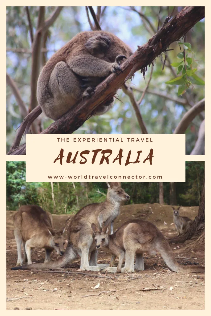 Experiential Travel Trend: Tips for Authentic Australia Travel Experience 2 authentic Australia travel experience
