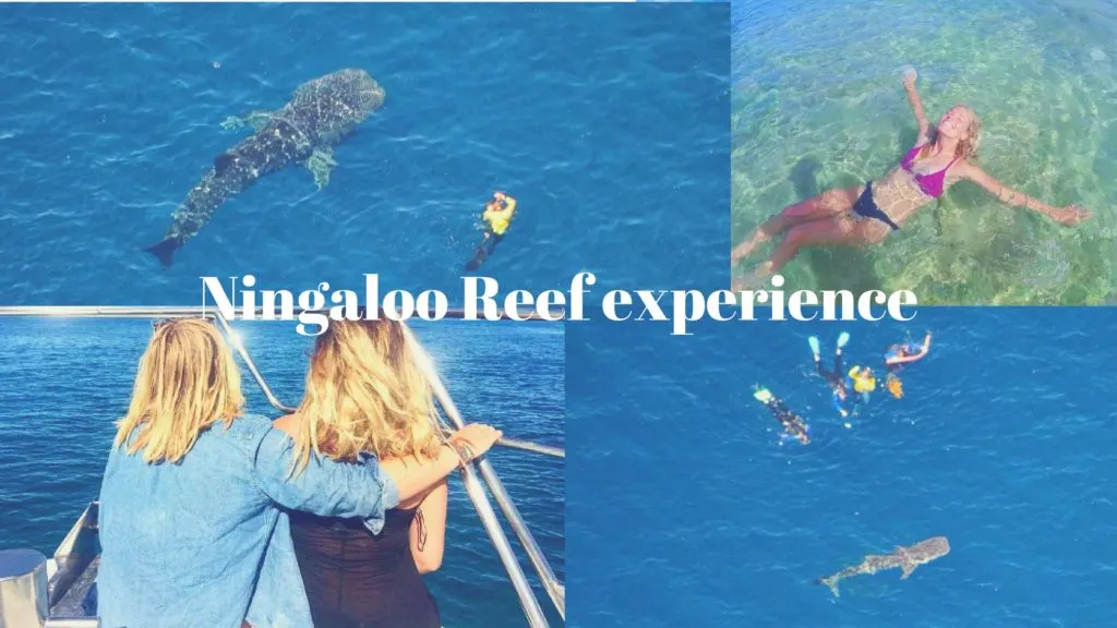Experiential Travel Trend: Tips for Authentic Australia Travel Experience 9 authentic Australia travel experience