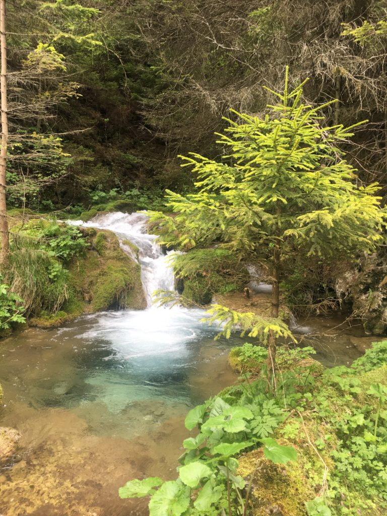 16 Best Things to Do in Sarajevo 19 things to do in Sarajevo