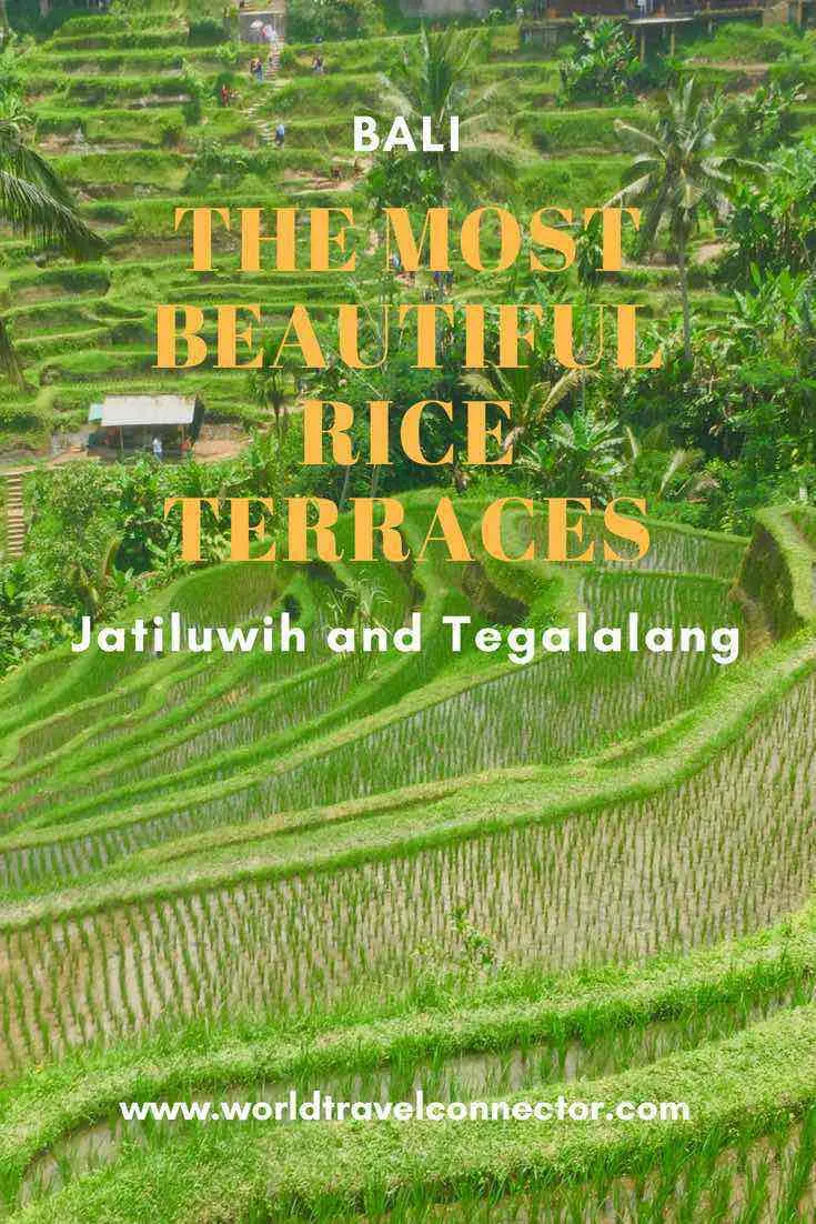 Bali rice terraces Jatiluwih and Tegallalang