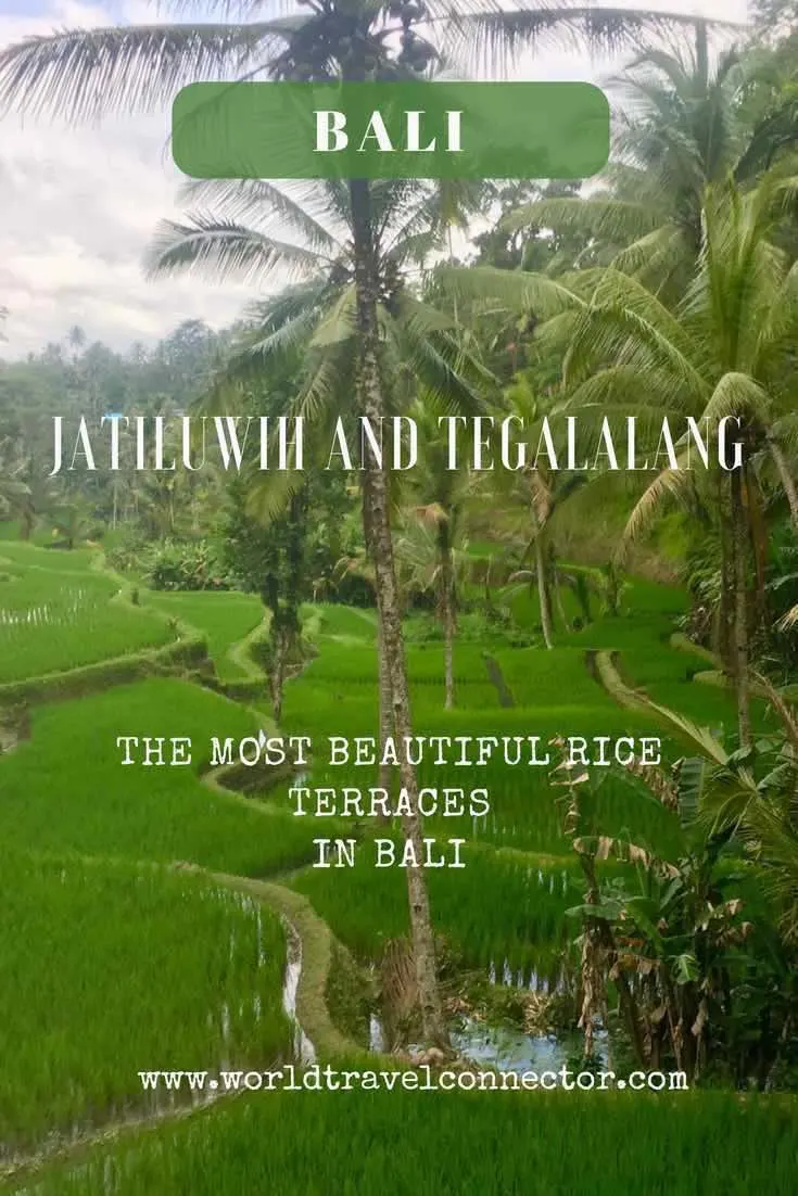 Jatiluwih and Tegalalang Rice Terraces Bali: The Most Beautiful Bali Rice Fields 10 Bali rice terraces