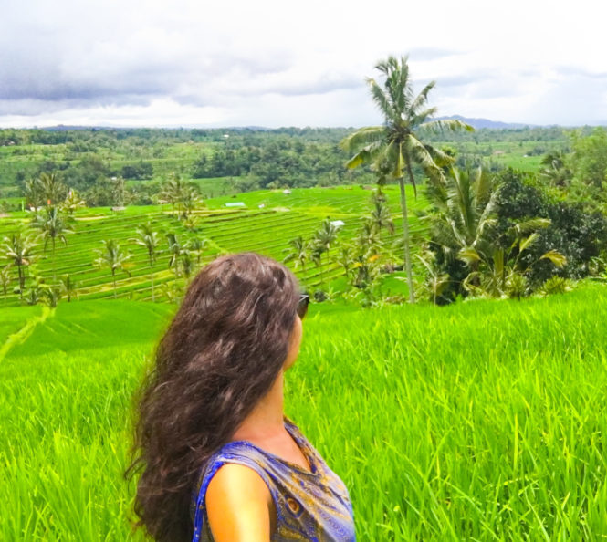 Bali rice terraces 