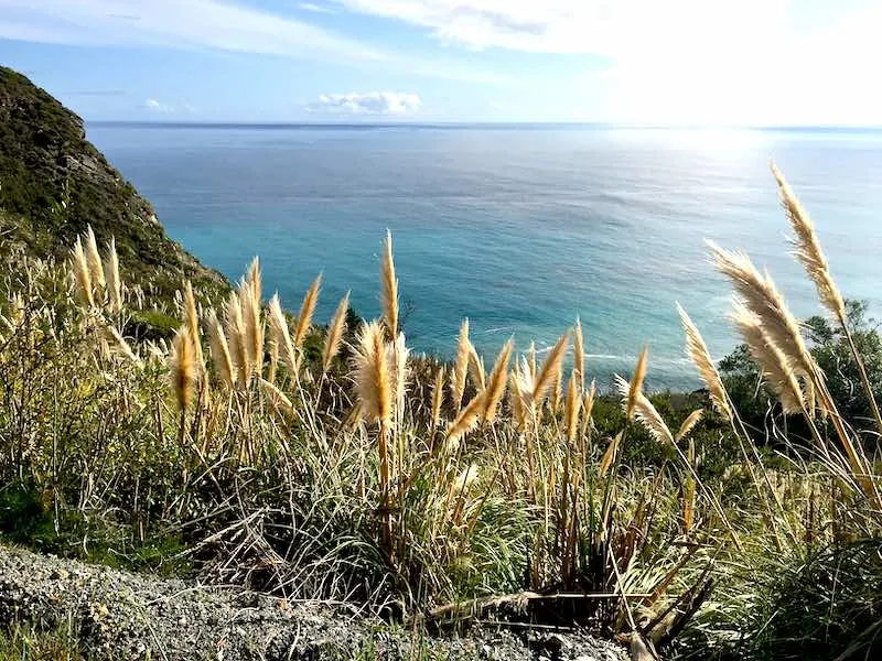 What to Do in Big Sur? 16 Absolutely Best Big Sur Activities 8 San francisco to los angeles road trip