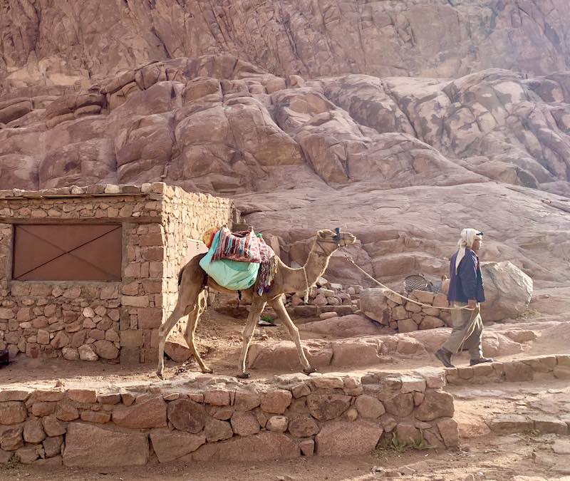 Climbing Mount Sinai in Egypt