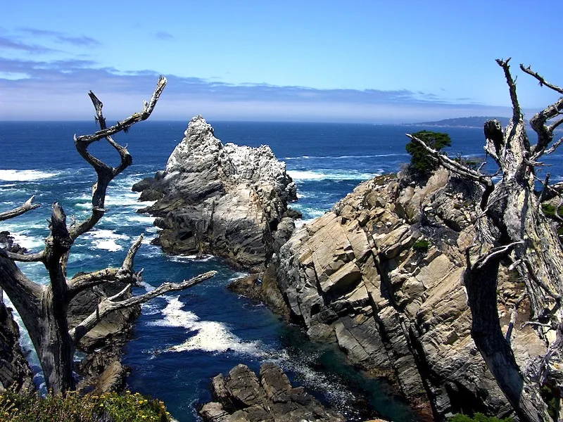 What to Do in Big Sur? Visit Point Lobos which is an unmissable stop on San Francisco to Los Angeles scenic drive