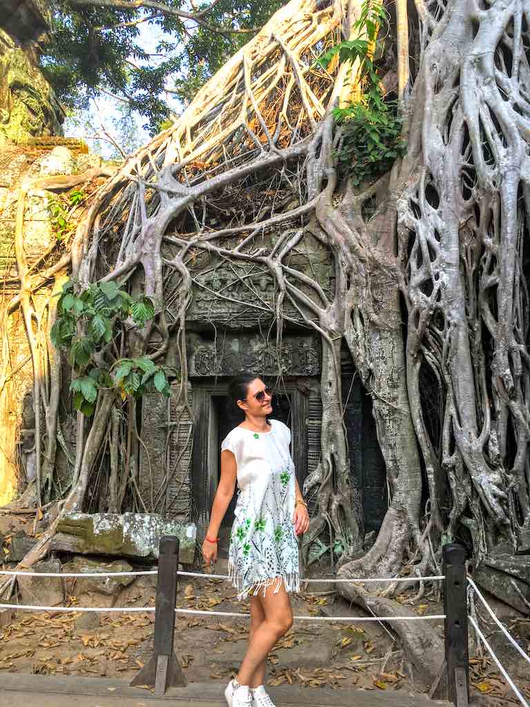 Ta Prohm temple in Cambodia is one of most famous temples in Southeast Asia