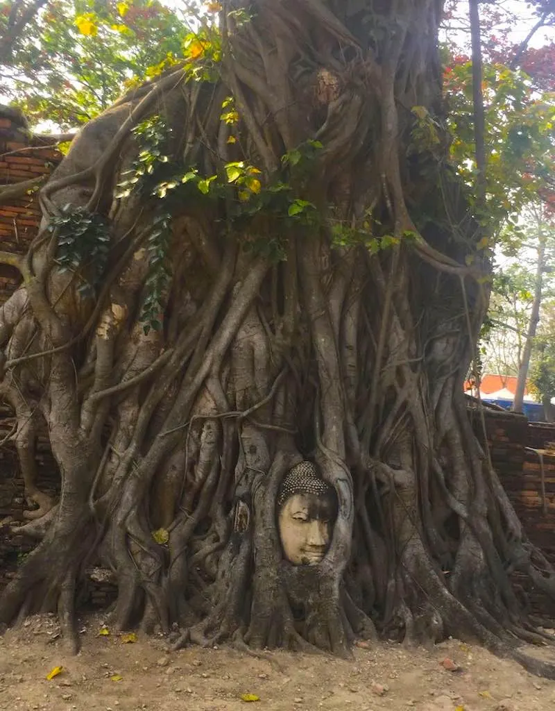 Glorious Must-See Temples in Ayutthaya 6 Temples in Southeast Asia