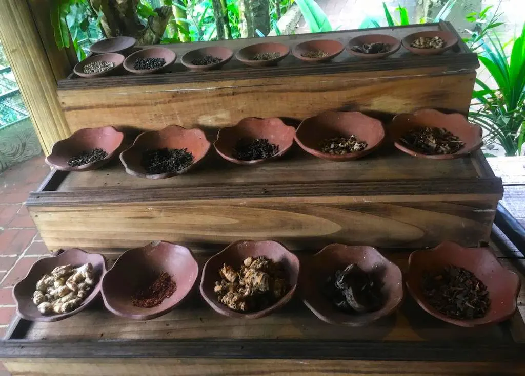 Luwak Coffee in Bali: Tasting Unique Civet Poop Coffee in Bali 4 Coffee Beans From Poop of Authentic Kopi Luwak Coffee in Bali by WorldTravelConnector.com I Bali Kopi Luwak I Bali Cat Coffee I Civet Coffee I Coffee Kopi Luwak I Coffee Luwak I Cat Poop Coffee I most expensive coffee