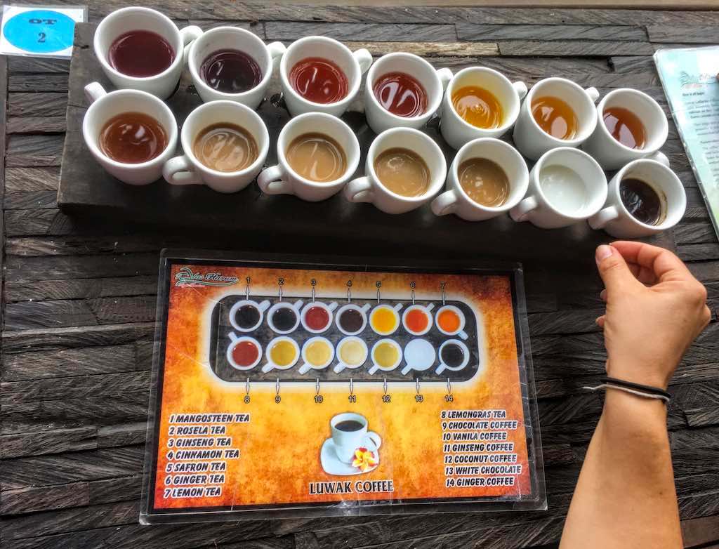 Authentic Kopi Luwak Coffee in Bali