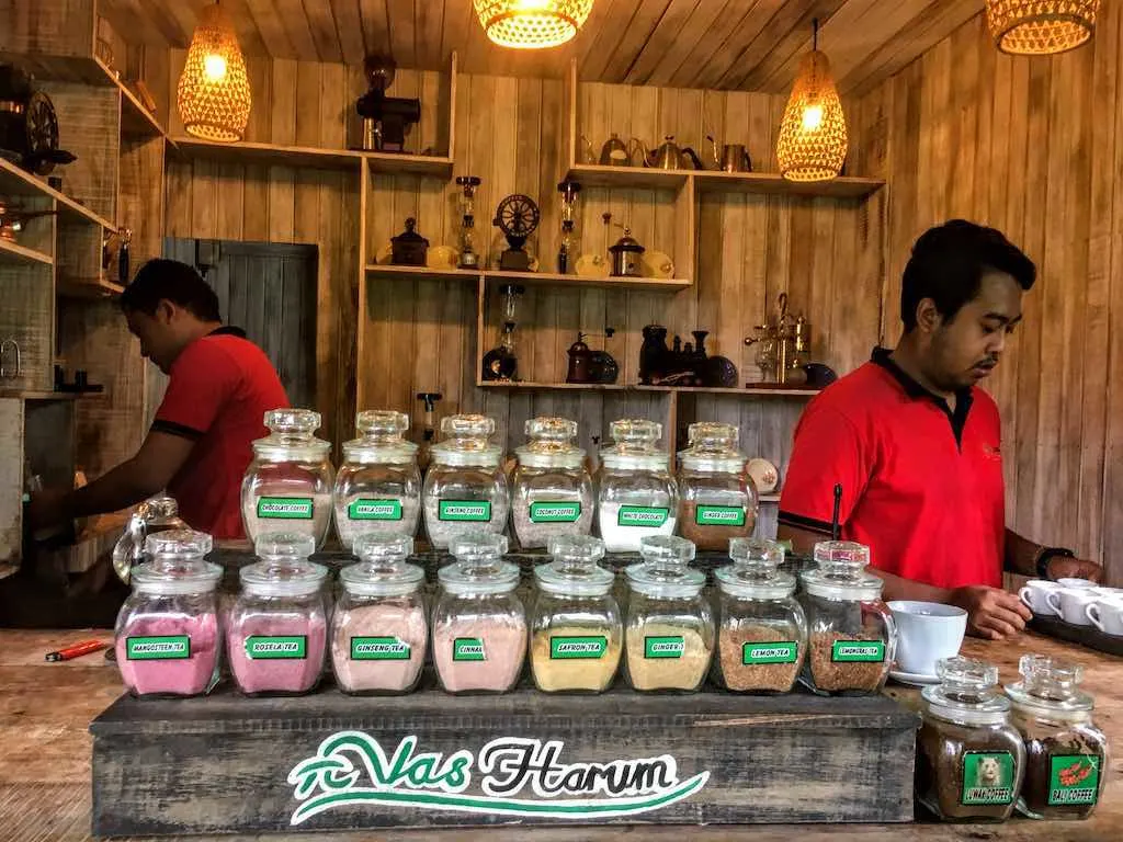 Authentic Kopi Luwak in Bali: Unique Luwak Coffee Bali