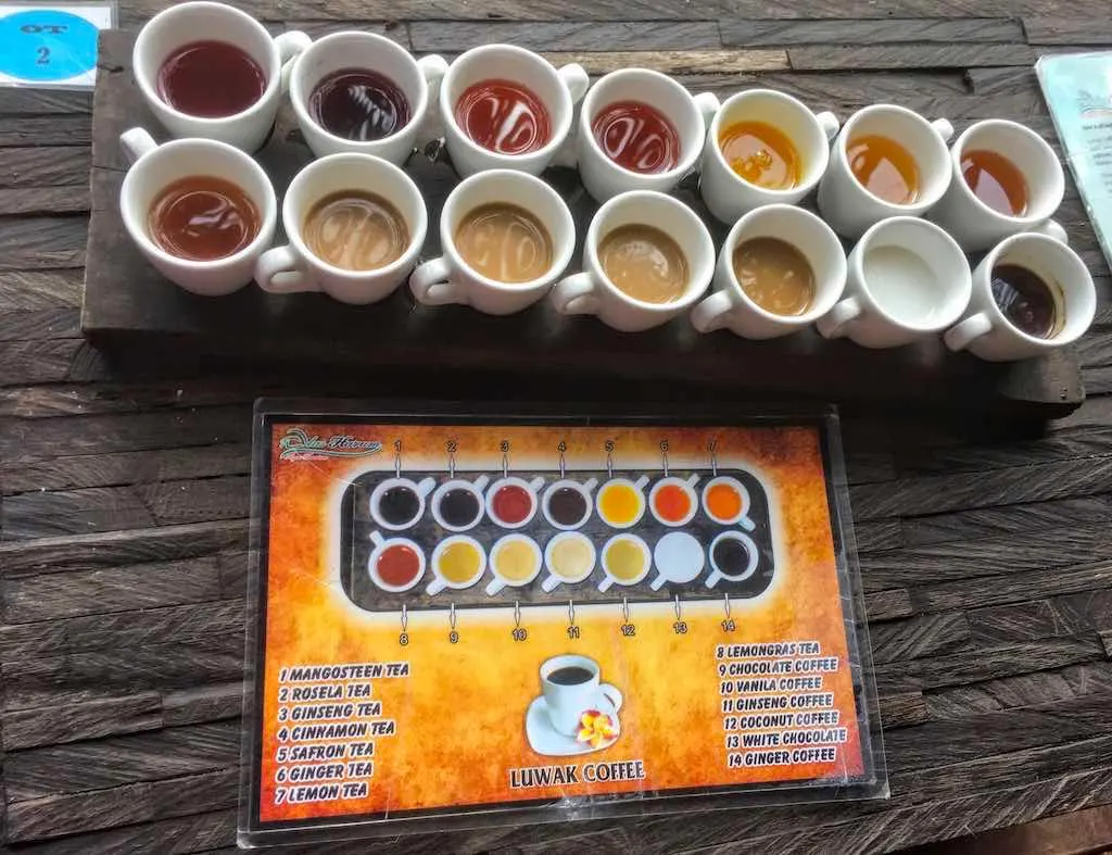Luwak Coffee in Bali: Tasting Unique Civet Poop Coffee in Bali 1 Authentic Kopi Luwak Coffee in Bali Most expensive coffee