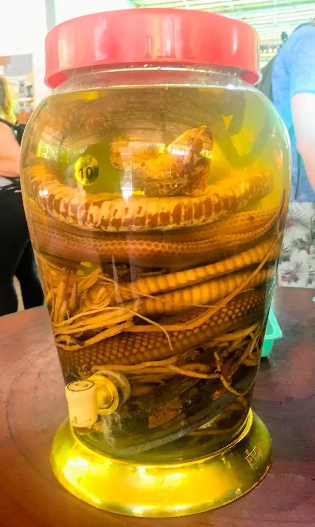 Vietnamese snake whiskey should be on any list of popular Vietnamese food and Vietnamese drinks to try in Vietnam