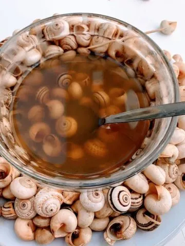 Eating snail tapas in Spain