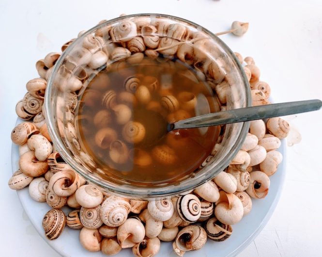 Snails in Spain Eating Delicious Caracoles Spanish Snails