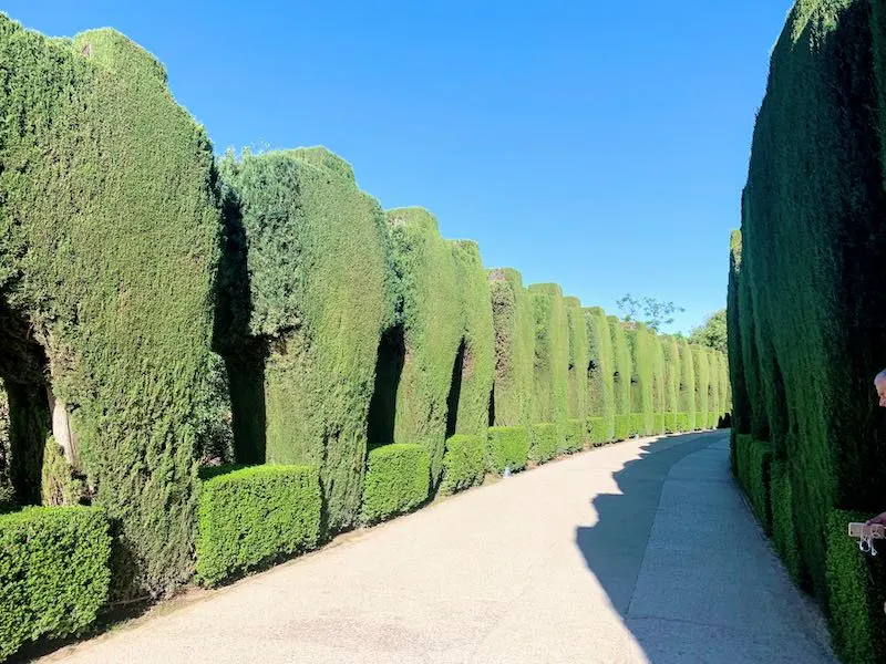 20 Essential Alhambra Tips and Tricks: How to visit Alhambra Palace in Granada, Spain in 2023 13 Alhambra tips Calle Real de la Alhambra