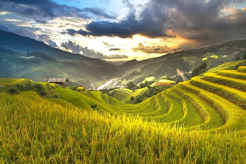 The Best Time to Visit Vietnam 1 Best time to visit Vietnam varies a lot from one region to another region in Vietnam