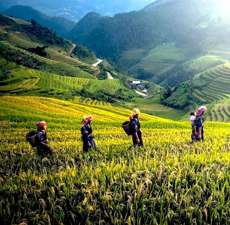 Best time to visit Vietnam varies from one region to another region in Vietnam