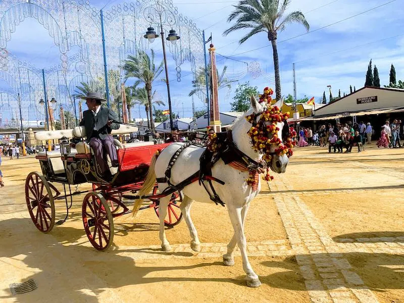 Jerez is one of the best places to visit in Southern Spain