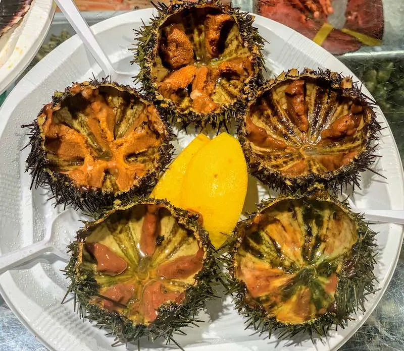 sea urchins are popular seafood in Spain