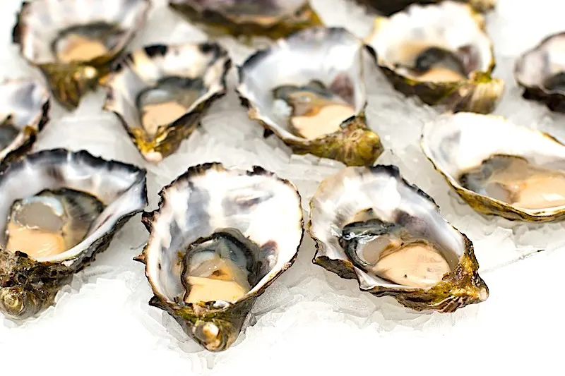 Oysters are well liked seafood in Spain I Spanish Seafood Dishes I Spanish Seafood Dish I Seafood in Spanish cuisine 