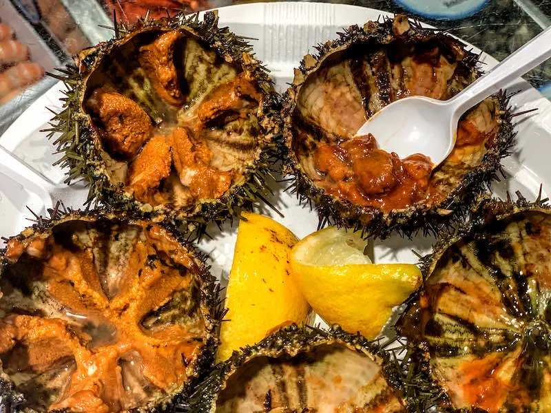 sea urchins are tasty seafood in Spain