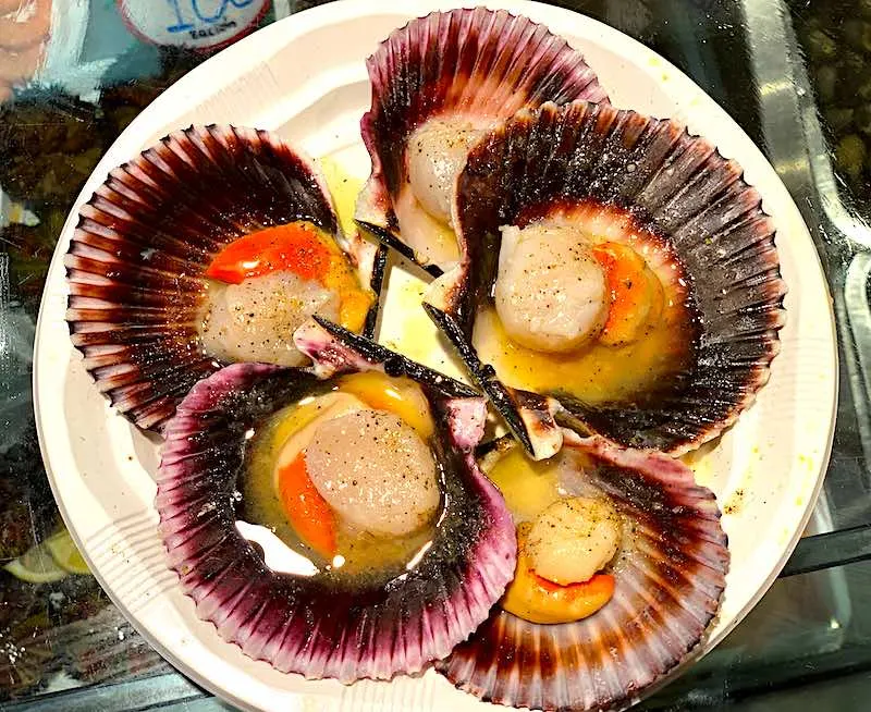 scallops are popular seafood in Spain