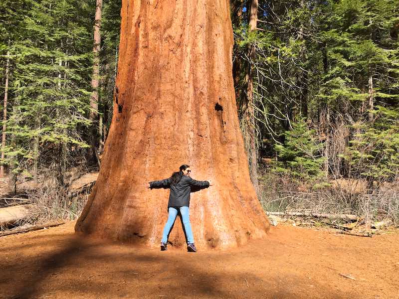 Sequoia National Park in Californiashould be on any California Arizona Nevada road trip itinerary