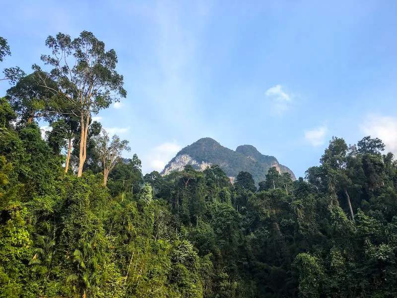 The Best 10 Day Thailand Itinerary (2023) 19 Khao Sok National Park should be on any 10 day Thailand itinerary I 10 Days Thailand Itinerary I Thailand Itinerary 10 Days I Best Things to do in Thailand in 10 days I Best Things to See in Thailand in 10 days I