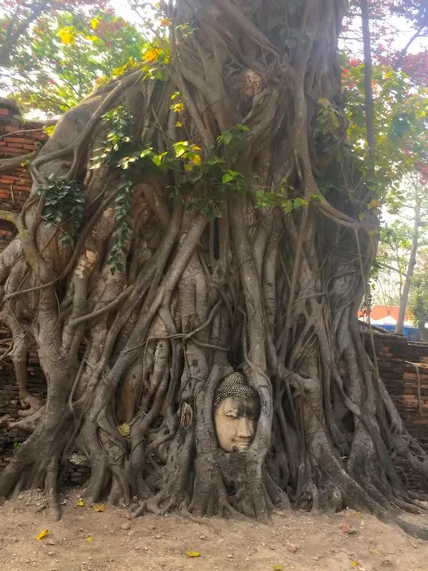 The Best 10 Day Thailand Itinerary (2023) 17 Ayutthaya shoud be on any 10 days in Thailand itinerary I 10 Days Thailand Itinerary I Thailand Itinerary 10 Days I Best Things to do in Thailand in 10 days I Best Things to See in Thailand in 10 days I