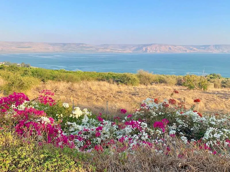 18 Best Day Trips from Tel Aviv (2023) 22 Best day trips from Tel Aviv Sea of Galilee