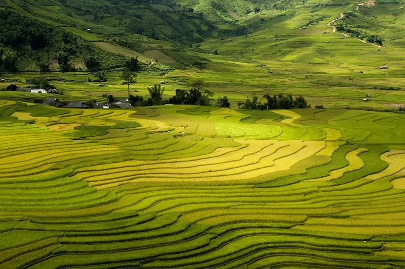 10 Days in Vietnam Itinerary 31 Trekking in Sapa should be on any 10 day Vietnam itinerary