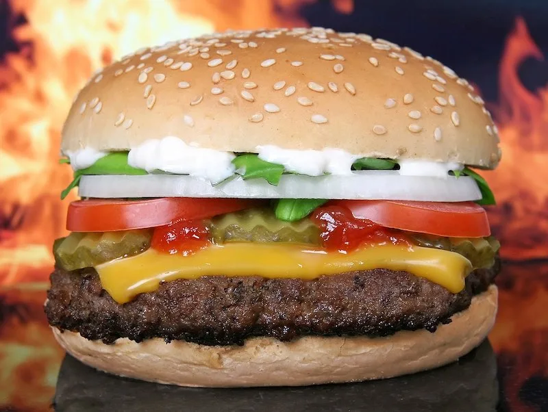 61 Most Famous Foods Around The World To Try In A Lifetime 5 American hamburger s one of the most famous foods around the world