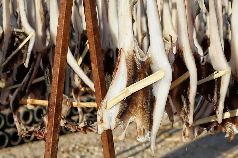 Codfish is famous food around the world 