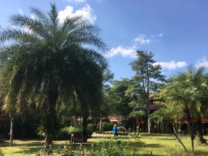 50 Things to Do in Thailand (Thailand Bucket List 2023) 33 Enjoying serenity in beautiful landscapes of town of Pai is one of top Thailand things to do