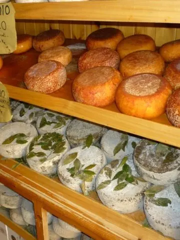Pecorino Toscano is one of th emost famous traditional Tuscan foods in Tuscany