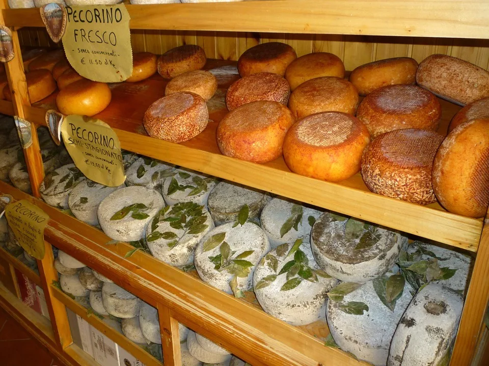 Travel Guide to Tuscany Italy (2023) 29 Pecorino Toscano is one of th emost famous traditional Tuscan foods in Tuscany