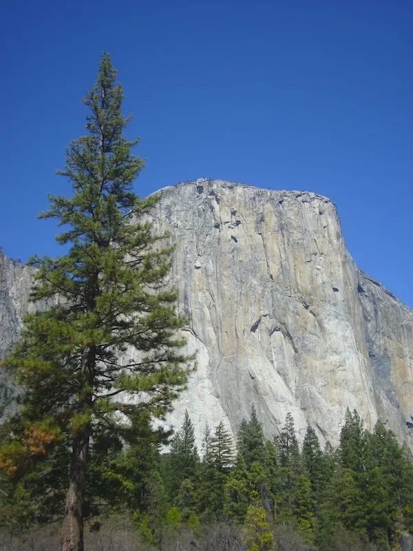 Visiting El Captain in Yosemite from San Francisco