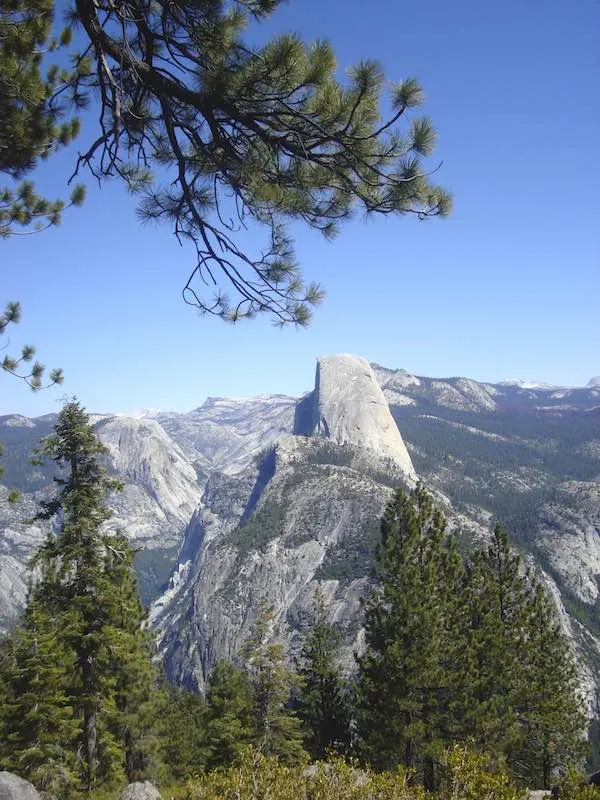 Viisting Yosemite from San Francisco 