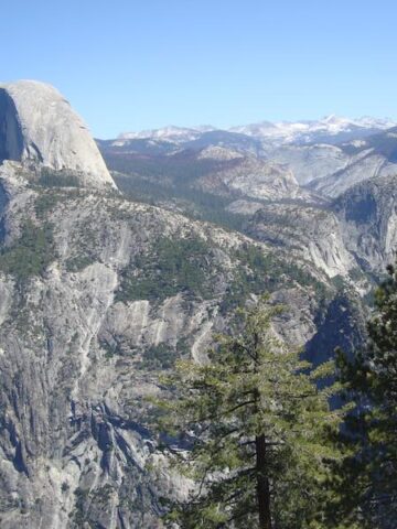 Visiting Yosemite from San Francisco