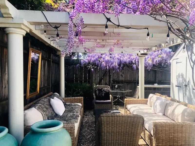 20 Absolutely Best Airbnbs In Santa Barbara 50 Back yard of Le petite maison