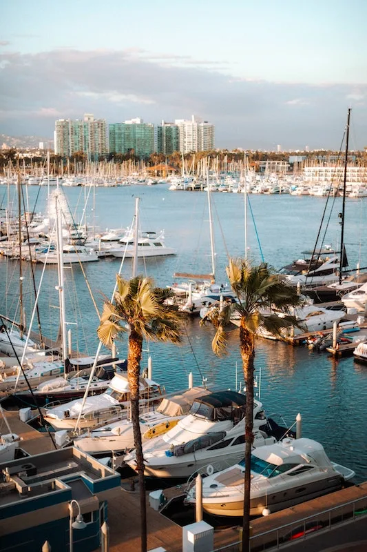 Marina Del Rey is one of the best places to stay in Los Angeles for budget travelers 