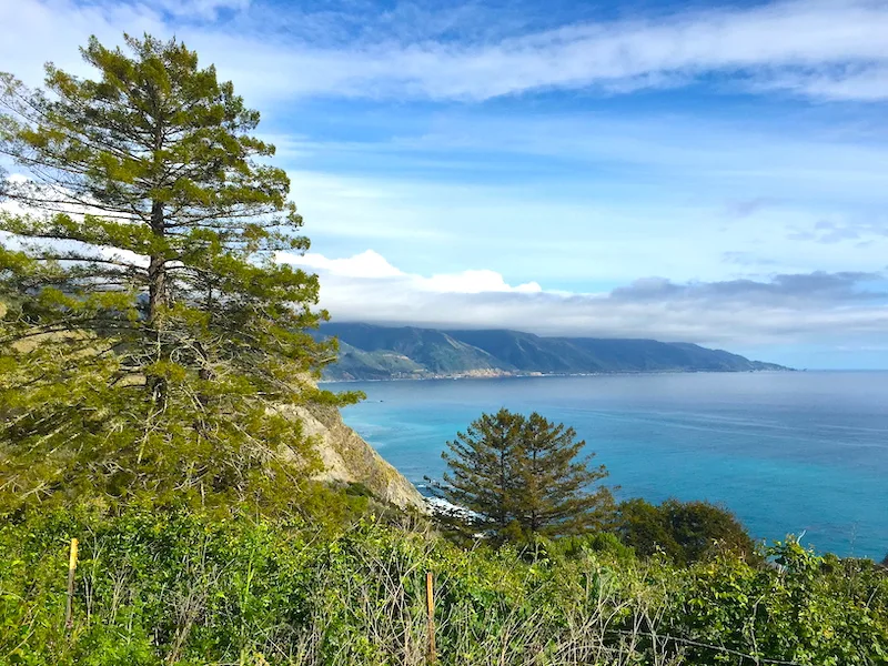 What to Do in Big Sur? Hike in the Andrew Molera State Park  