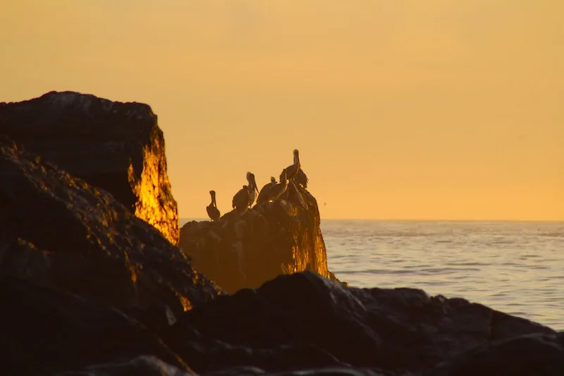 What to do in Big Sur? Explore amazing Limekiln State Park