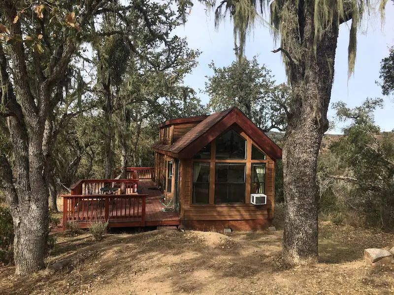 This modern cabin is one of the most dog-friendly cabins in Big Sur 